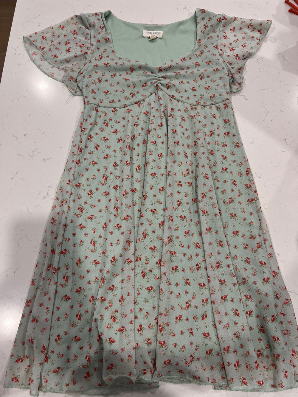 See You Monday Mint Green Mini Dress with Red Rose Print